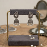 Pair of oxidized silver paisley jhumka earrings displayed on brass earring stand with scattered pearls